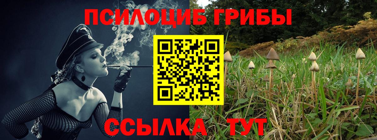 Белореченск  Галлюциногенные грибы ЛСД  Вход с VPN 