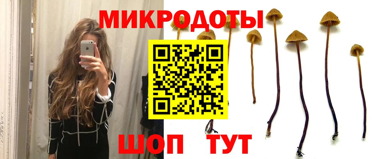 Псилоцибиновые грибы Psilocybine cubensis Белореченск